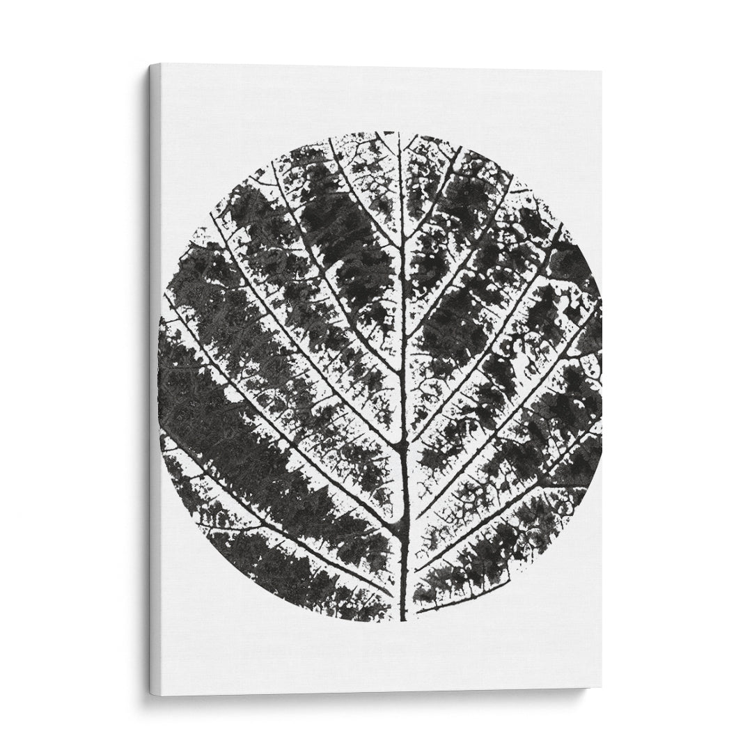 Midnight Foliage Wall Art Frame