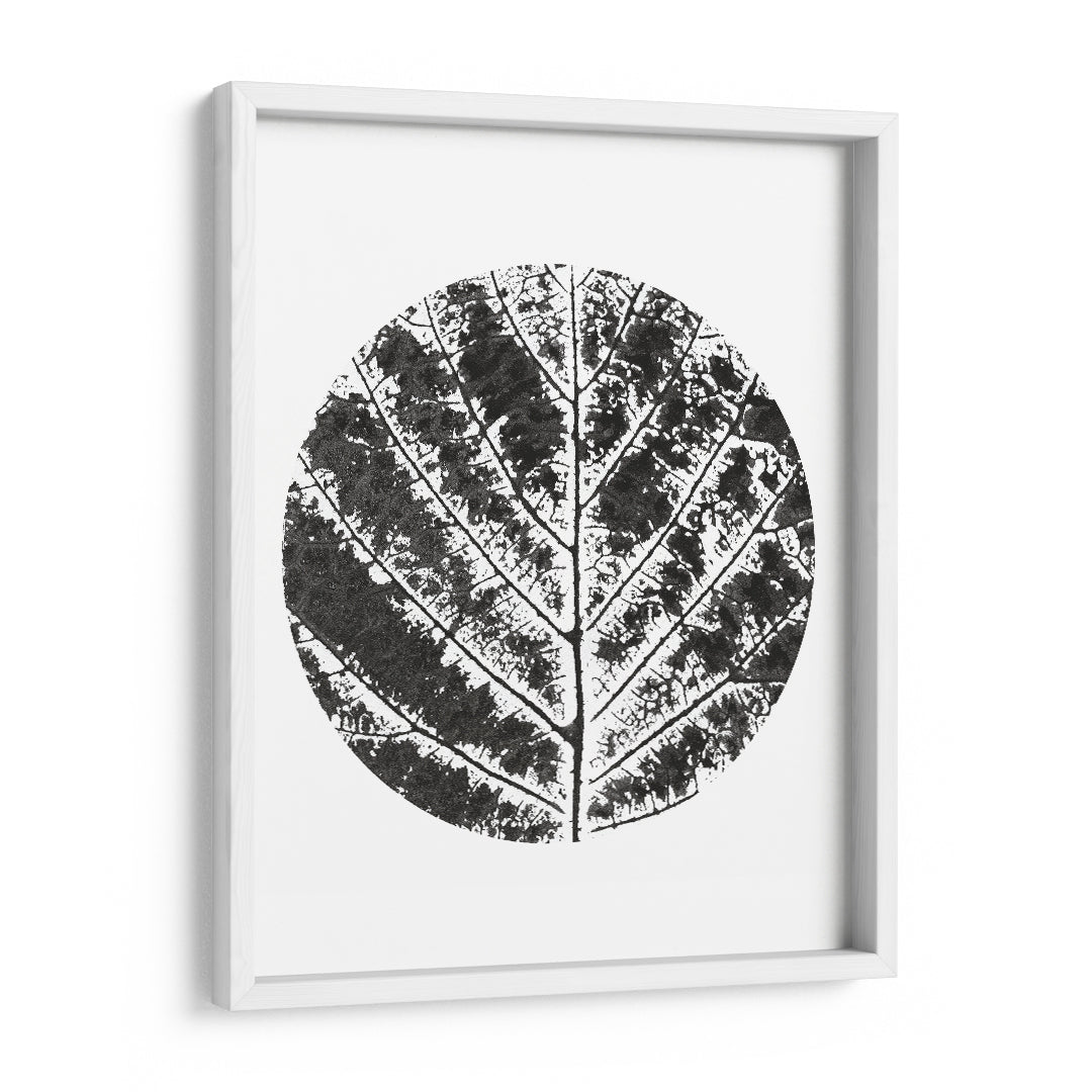 Midnight Foliage Wall Art Frame